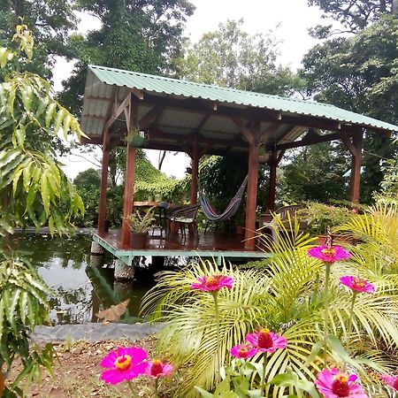 Greenhouse Loft Miravalles Aguas Claras  Luaran gambar