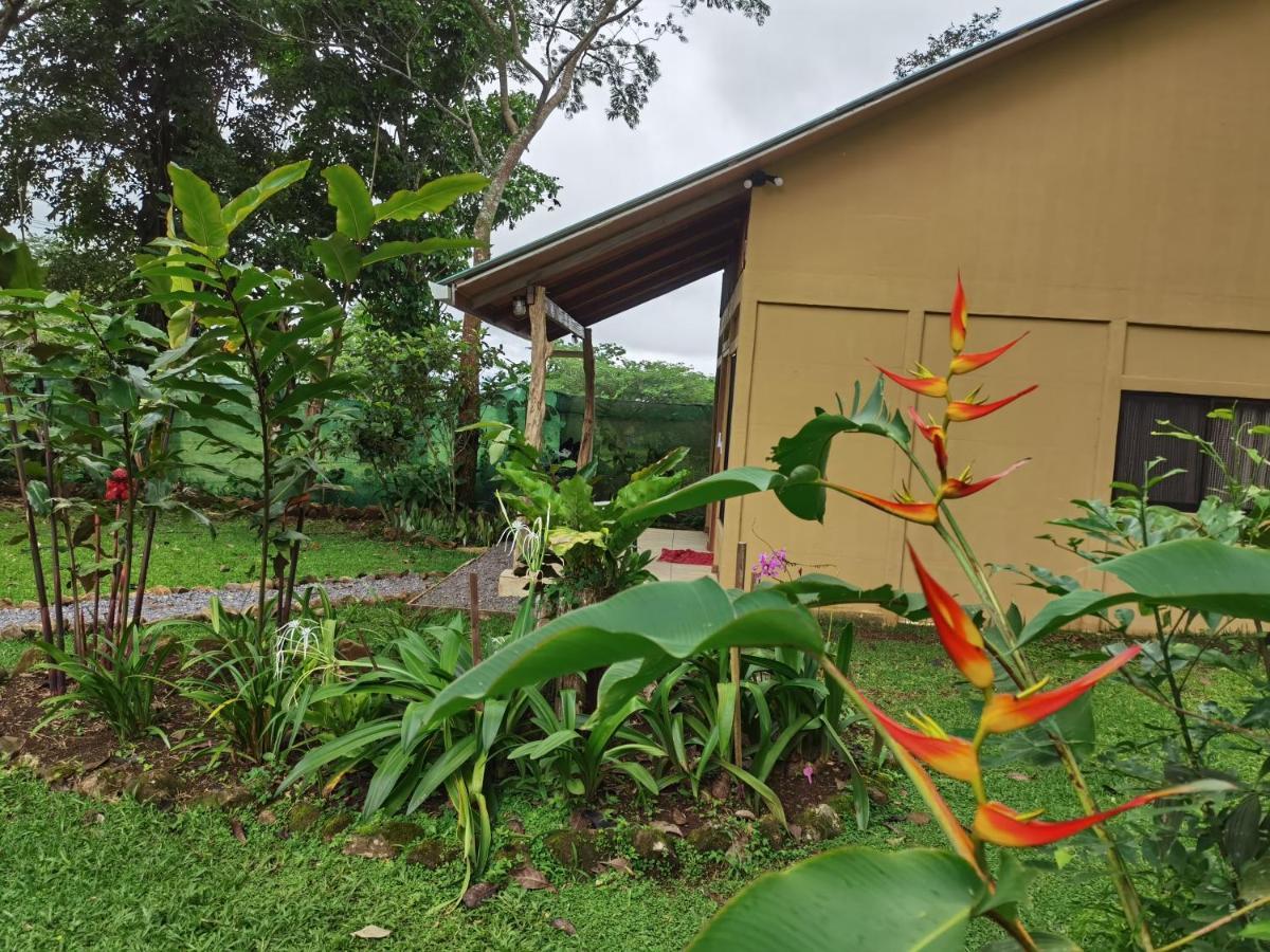 Greenhouse Loft Miravalles Aguas Claras  Luaran gambar