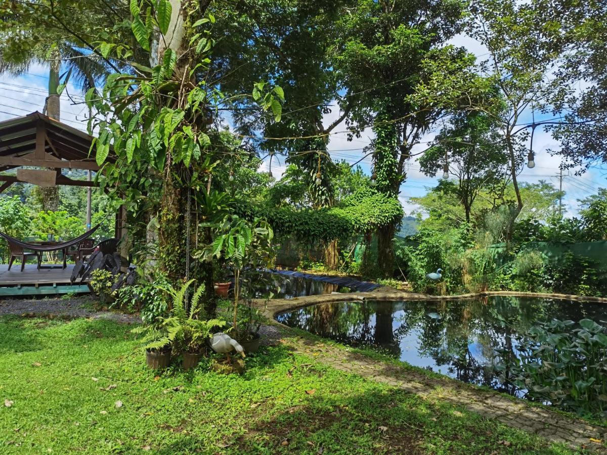 Greenhouse Loft Miravalles Aguas Claras  Luaran gambar
