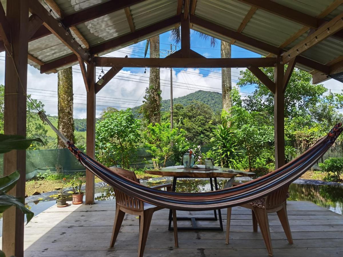 Greenhouse Loft Miravalles Aguas Claras  Luaran gambar