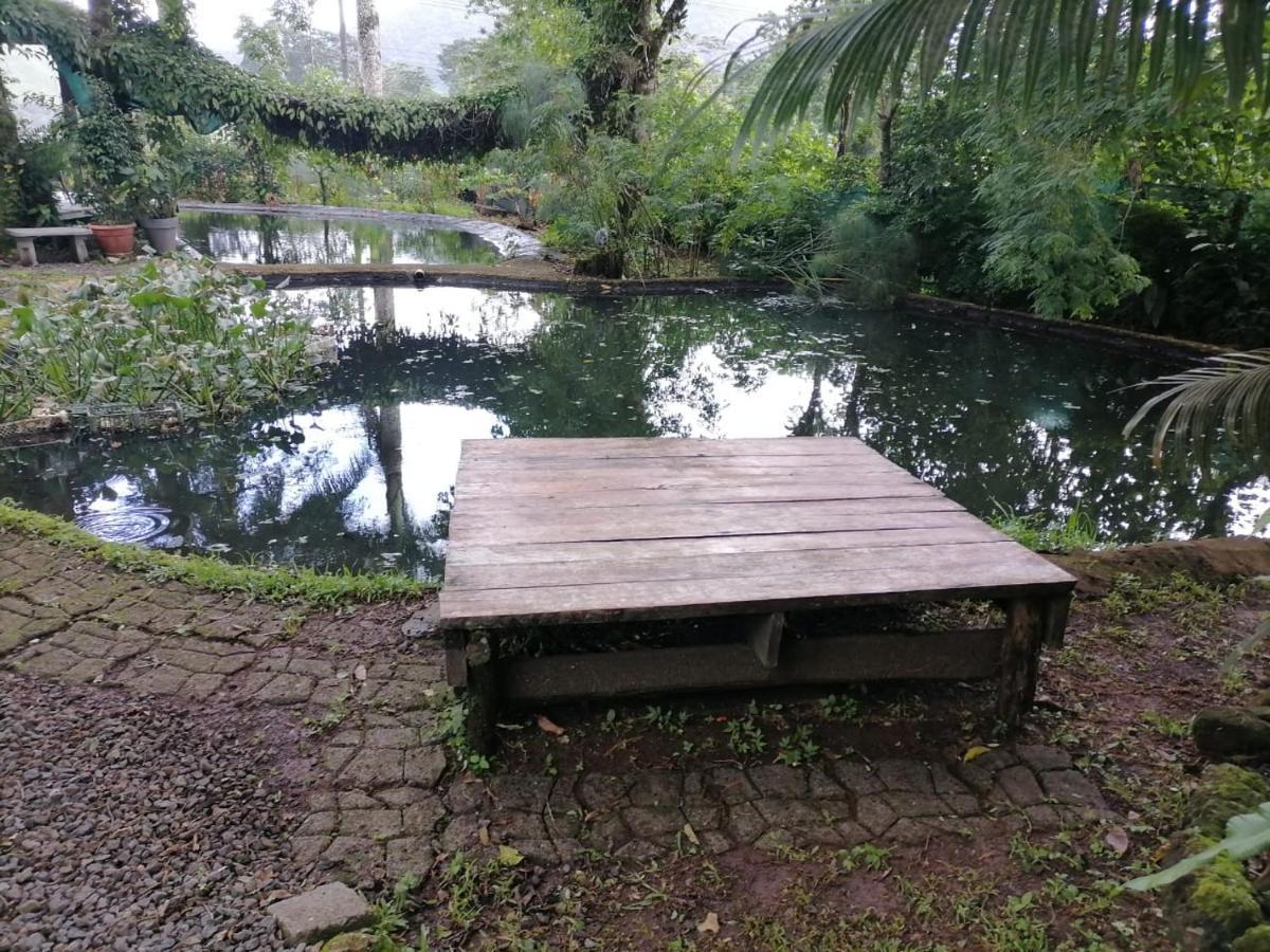 Greenhouse Loft Miravalles Aguas Claras  Luaran gambar