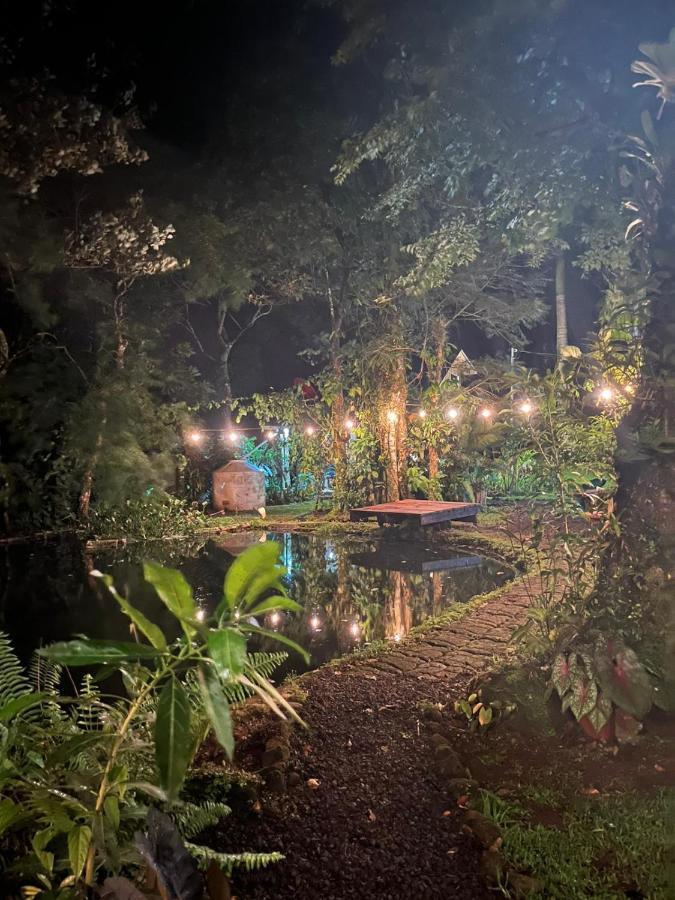 Greenhouse Loft Miravalles Aguas Claras  Luaran gambar