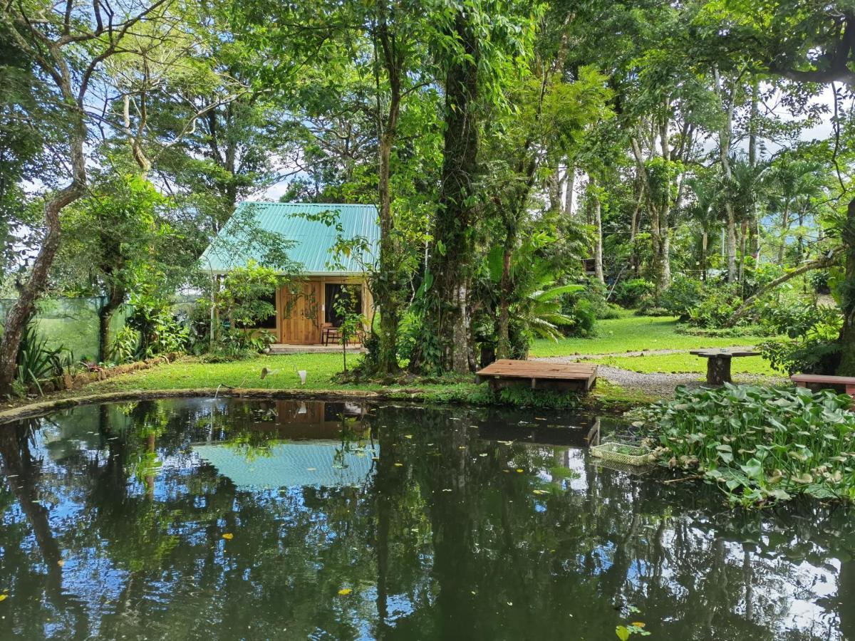 Greenhouse Loft Miravalles Aguas Claras  Luaran gambar