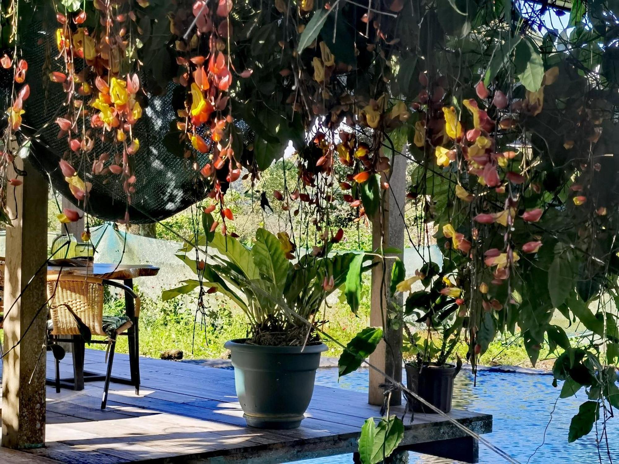 Greenhouse Loft Miravalles Aguas Claras  Luaran gambar