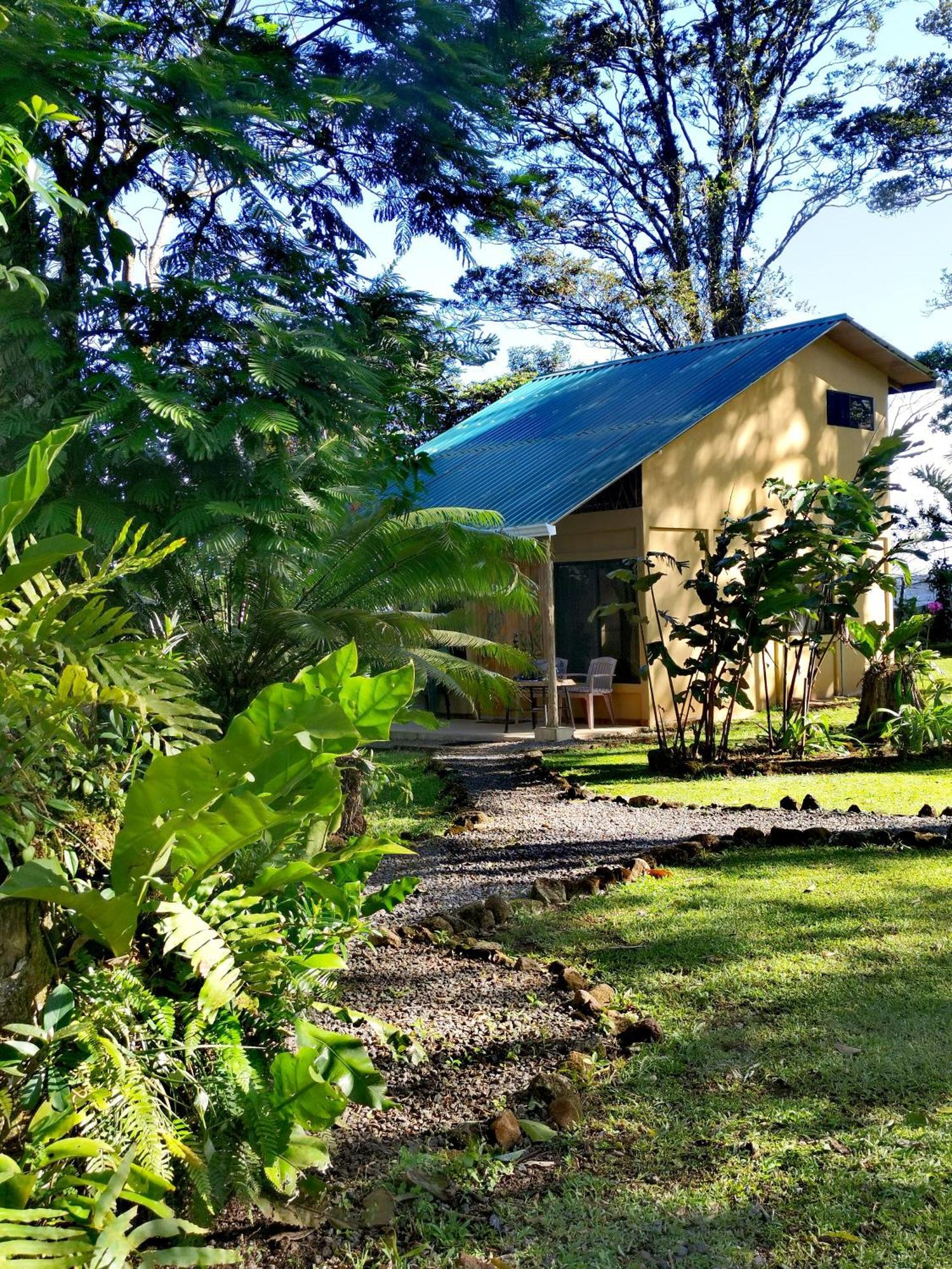 Greenhouse Loft Miravalles Aguas Claras  Luaran gambar