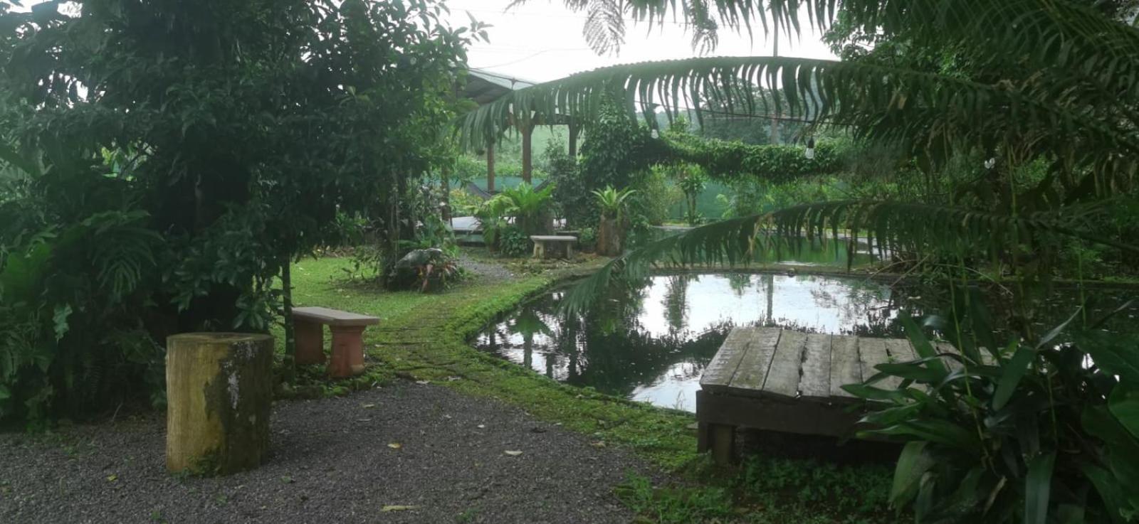 Greenhouse Loft Miravalles Aguas Claras  Luaran gambar