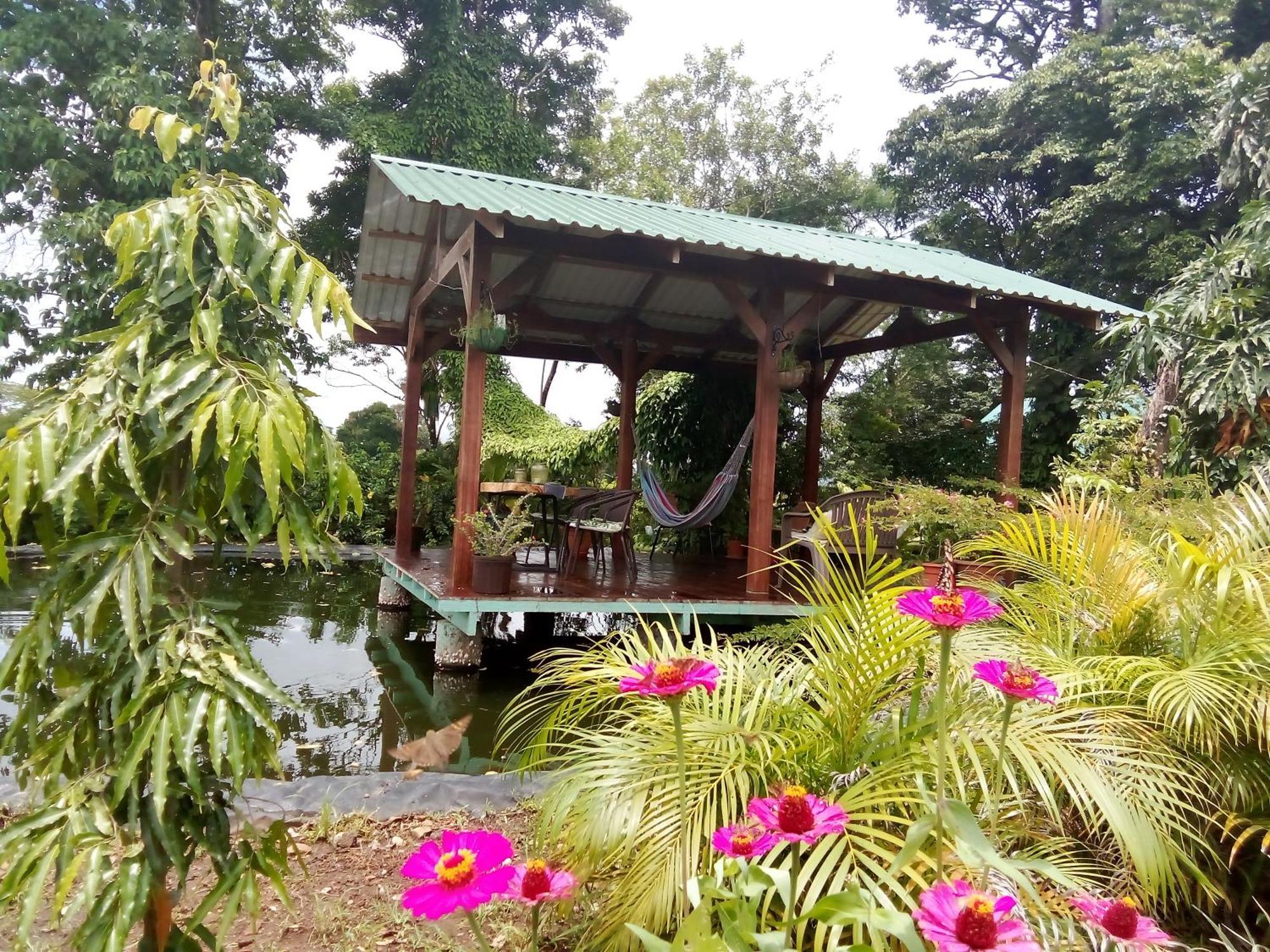 Greenhouse Loft Miravalles Aguas Claras  Luaran gambar
